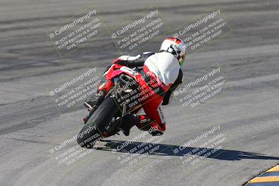 media/Feb-04-2024-SoCal Trackdays (Sun) [[91d6515b1d]]/4-Bowl Backside (11am)/